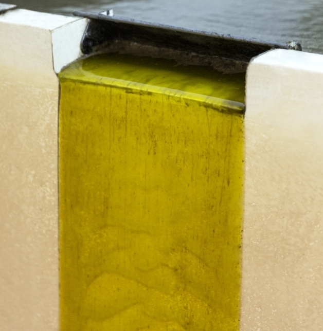 aceite-sin-filtrar aceite-sin-filtrar